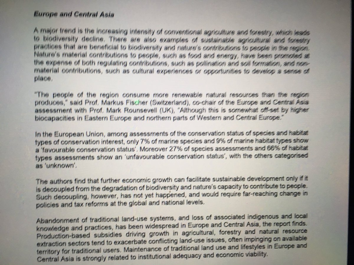 Paul De Zylva tweet media