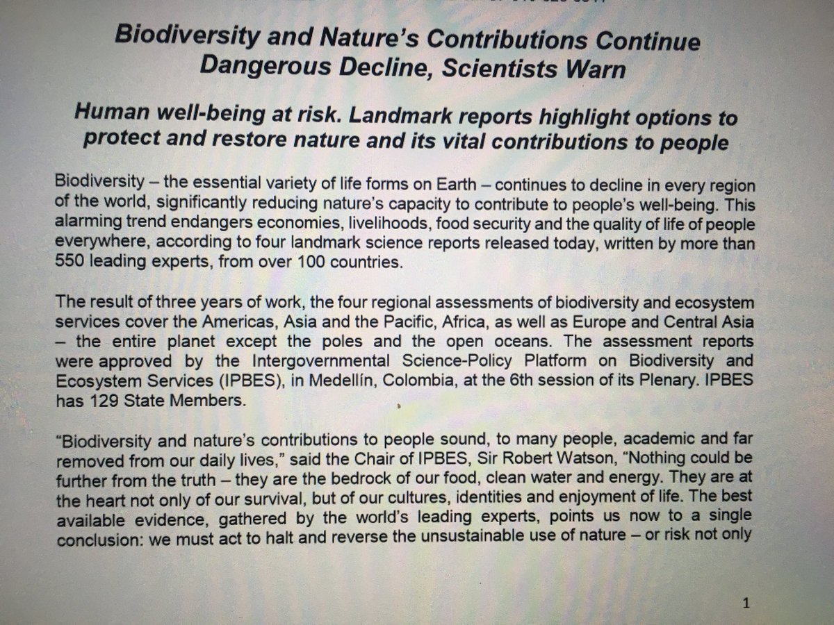 Paul De Zylva tweet media