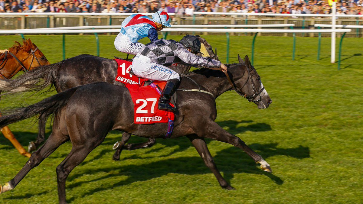 RacingPost's tweet photo. Weekend wonders: three runners that catch the eye this weekend https://t.co/z6mfvLhp7p https://t.co/QXi9JES1J7