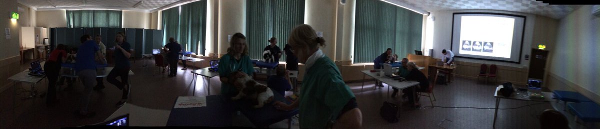 VetCardioSoc's tweet photo. Twenty cardiologists from around the UK brought together by VCS to standardise how we screen under the new CKCS @TheKennelClubUK breeding scheme. Clinical excellence and breed health are the priority. #vetcardio https://t.co/RioviIQa2B
