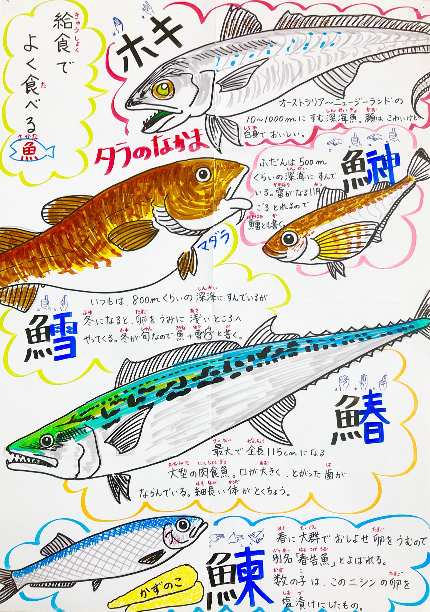 職員室の坂本さん Twitterissa 今日は今年度ラストの給食 ここでの給食も食べ収めです 鰊のみぞれ煮が出ました どんな魚を食べているかが分かるよう 追加バージョンを作成 手話を調べたけど出てこなかった奴らなので 名前は指文字で 手話 知ってる人いれば教え