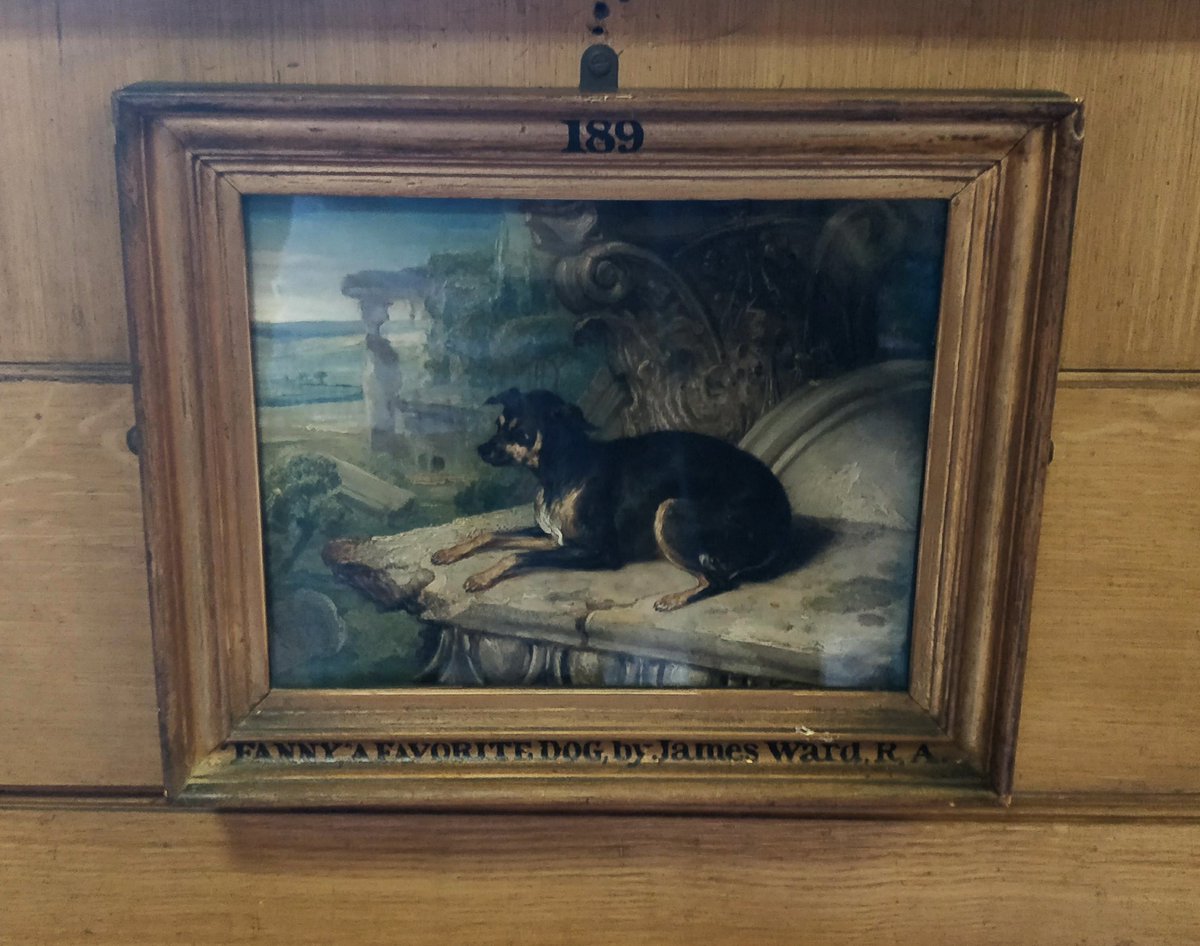 SoaneMuseum's tweet photo. Sir John Soane's beloved dog Fanny, pictured enjoying some classical ruins on an imaginary Grand Tour. #NationalPuppyDay https://t.co/bAmbEYKceq