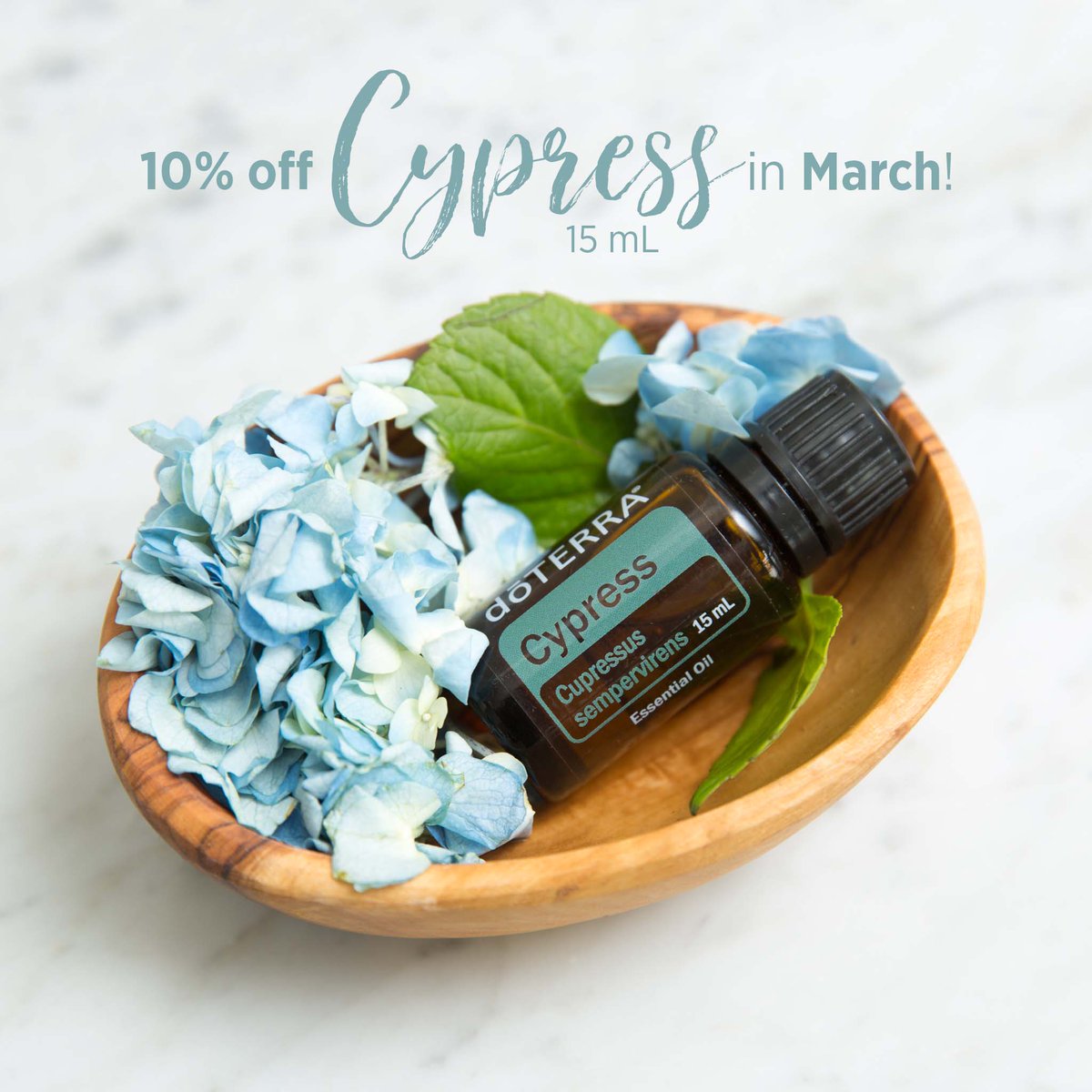 All month long you can get Cypress Oil for 10% off! This is a key Oil for kids, especially those who like to go go go. I can help you take this bottle and turn it into natural solutions you can use, when you needs them, right at your fingertips! goo.gl/DsBPn9