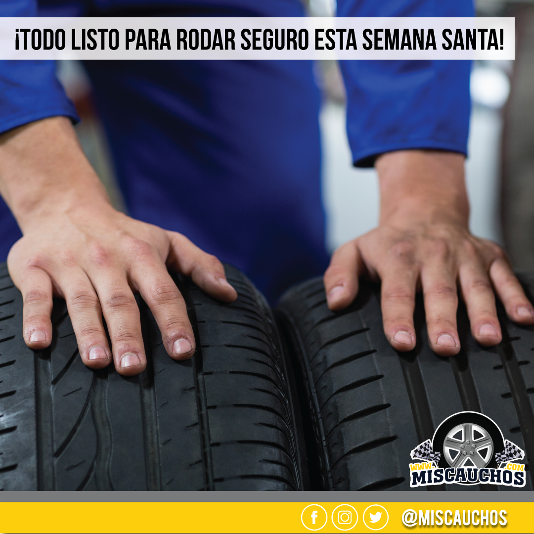 miscauchos's tweet photo. ¡Todo listo para rodar seguro esta semana santa!
Llámanos al  ☎ (0424) 706.10.17 ☎ (0276) 425.70.32. y consulta la disponibilidad  y precios 
¡Calidad y servicio sobre ruedas! https://t.co/a6SqqLhauk