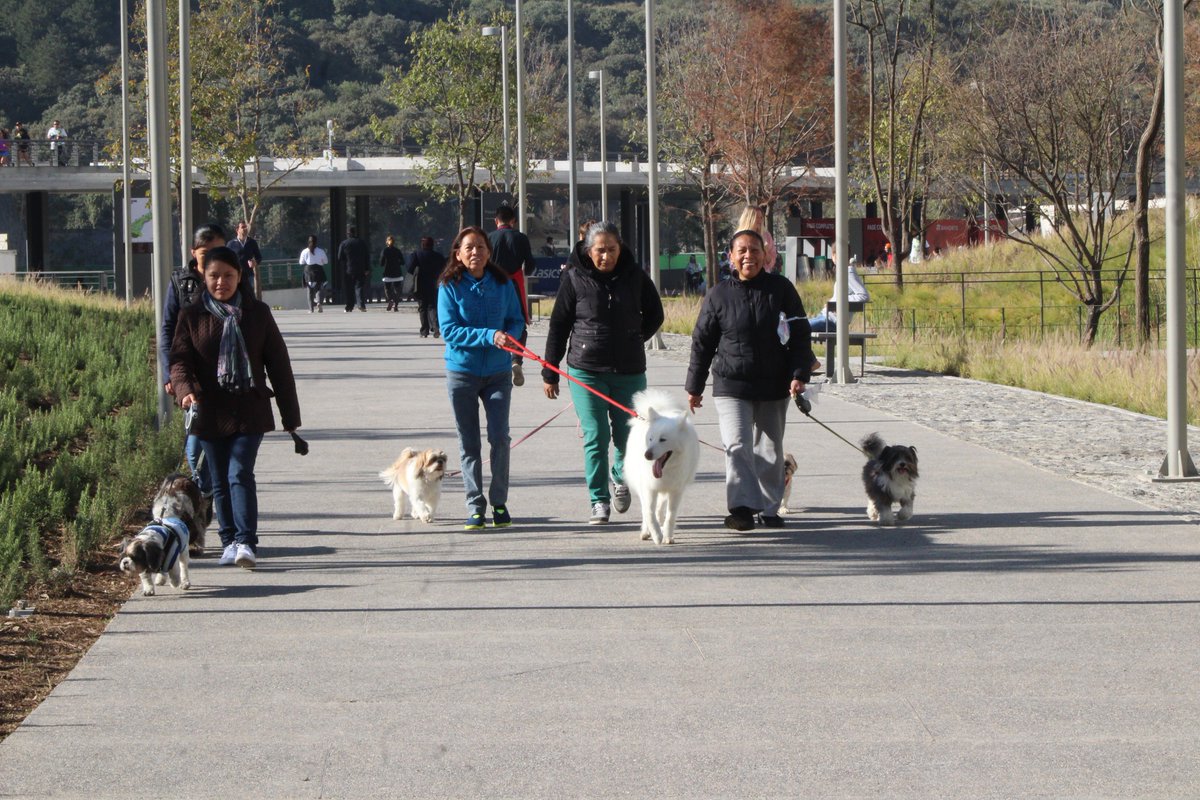 MetropolisCDMX's tweet image. Este fin de semana, tu parque #LaMexicana te espera y te invita a disfrutar las actividades que tiene para todos los miembros de la familia. Además, muy pronto será aún más grande. Conoce todo sobre la segunda etapa: goo.gl/yG4Vrd