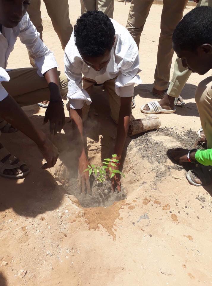 A greener, brighter future for #Somaliland💚 #Green #Plantingtree #PlantingHope #Drought #School #volunteering