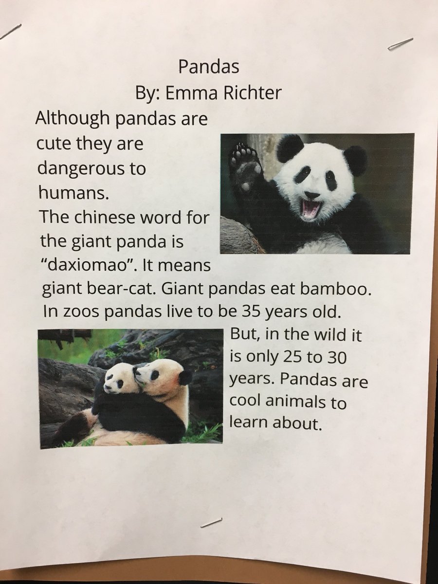 Check out this second grade informational writing!  Didn’t they do a great job?!  #gojaguars