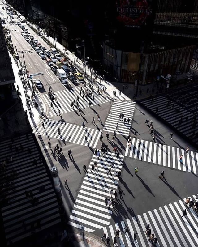 Crossing the Road by <a href="/mr007/">mr007</a> 
#streetview #drone #photography #greatshot #fubiz
Mention <a href="/fubiz/">Fubiz</a> if you want to be featured on our Instagram bit.ly/2GlHAHr