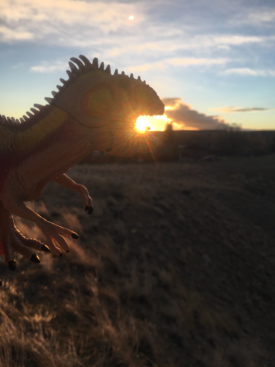 dinoadventure_s's tweet photo. Took a walk this morning and found a beautiful sunrise. It’s amazing what you can see when you don’t lay around in bed. https://t.co/5J2WEkR8XW
