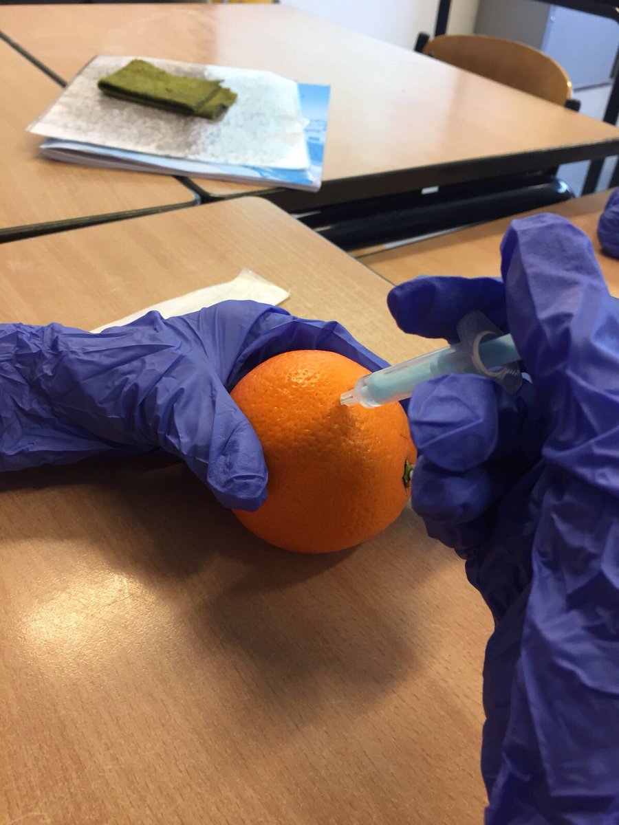 obscaleidoscoop's tweet photo. De groepen 7&8 zijn deze week begonnen met een nieuw thema van IMC,geneeskunde! Ze hebben o.a. Geleerd om te prikken (op een sinaasappel), EHBO, verband aanleggen, reanimeren en verloskunde. #EHBO #IMCbasis #AMC #artsenindedop https://t.co/sACwiBbioi