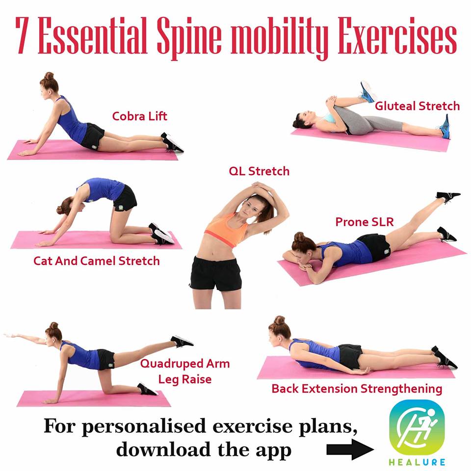 「spine exercises」的圖片搜尋結果