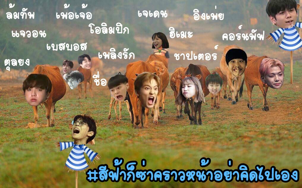 yutassweetheart's tweet photo. มองหน้าพี่..พี่ไม่ว่าแต่อย่ามาแย่งกินหญ้า..พี่ไม่ชอบ @perogenx @bewitchoffix #วีวิลเริ้บยูบีวิชเปโร่ #สีฟ้าก็ซ่าคราวหน้าอย่าคิดไปเอง https://t.co/bU8NQa32mw