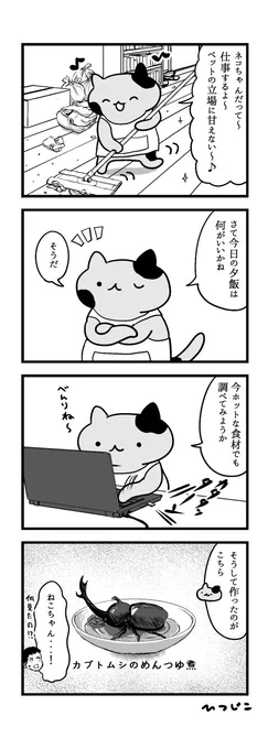 ご飯を作るねこちゃん 