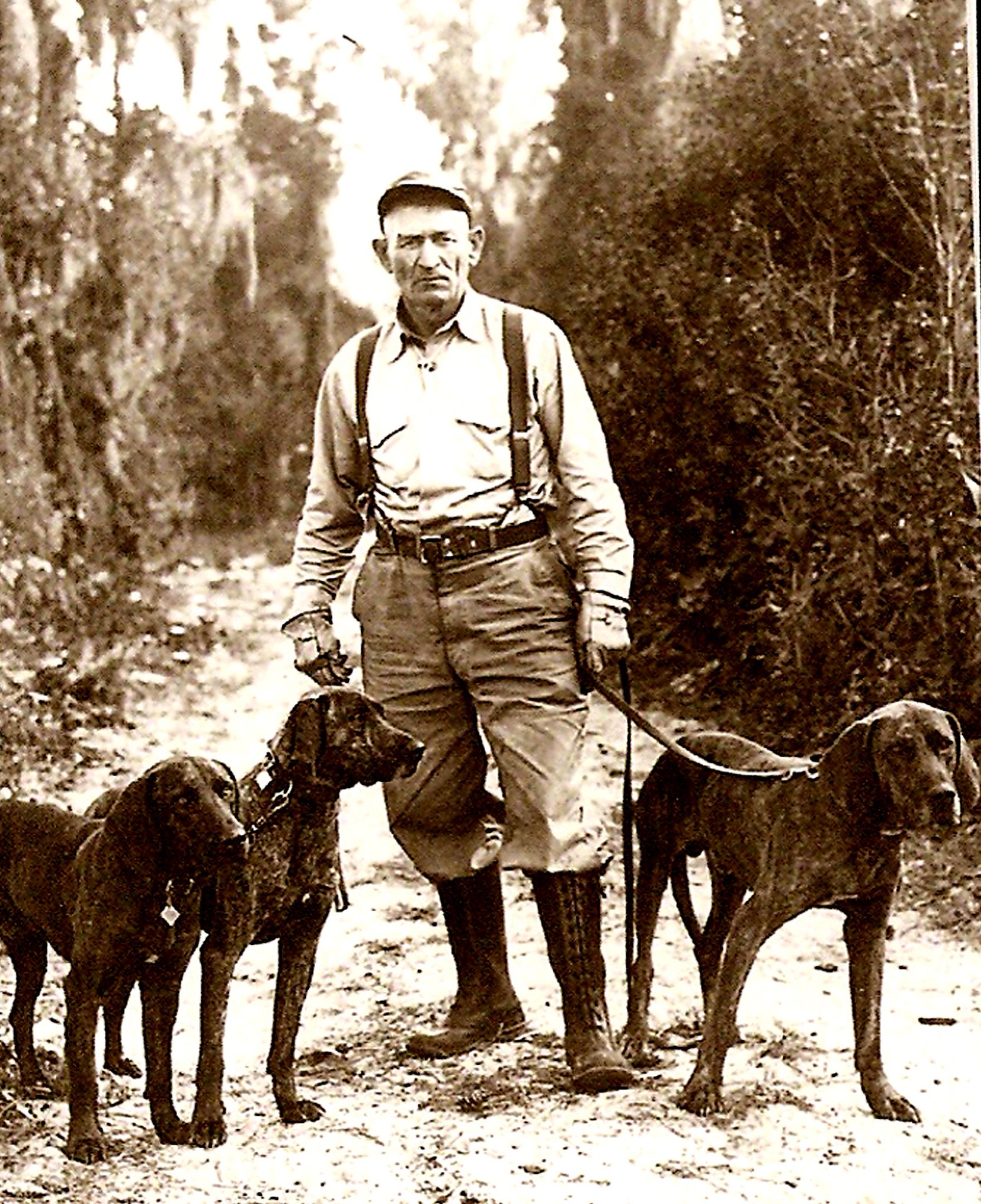 Plott Hound