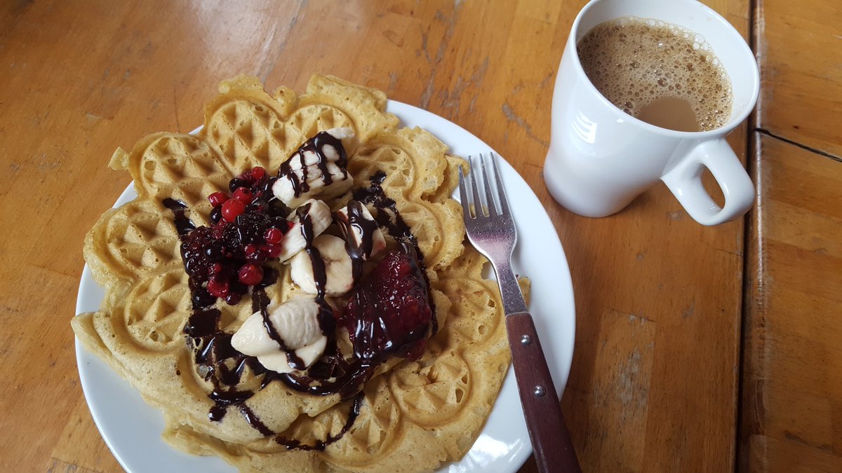 LizzyMace's tweet photo. This morning I spent 30 minutes watching ducks, ate free vegan waffles provided by #SWIMP18, then enjoyed snowy scenery on the airport bus. Despite losing a mitten somewhere between standing up at the bus stop and sitting down on the bus, it's been a good day so far. ๐ค๐ฐโ๐ญ๐๐ https://t.co/CdxdRYDyk2