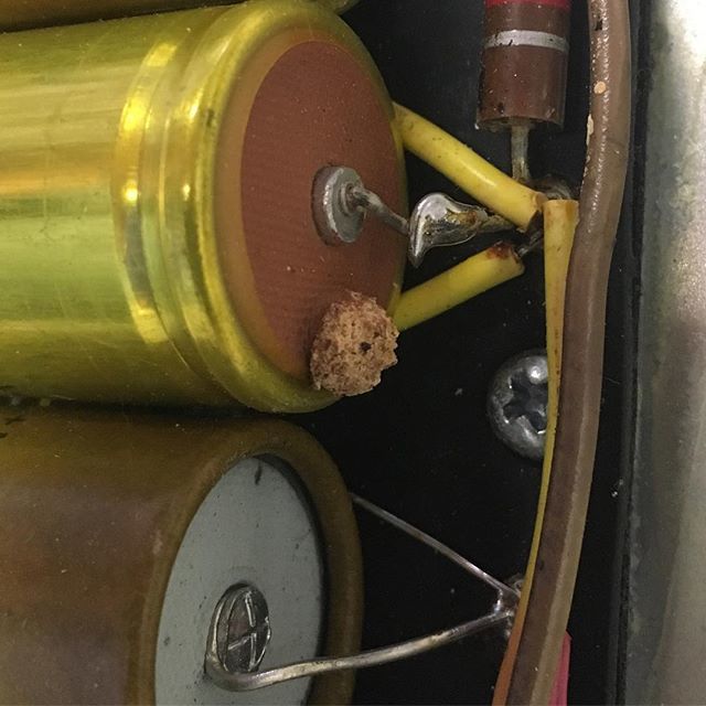 FuchsAudio's tweet image. Spring hath sprung and the capacitors are starting to bloom ! #fuchsaudio #fuchsaudiotechnology #fuchsaudiotech #ampguru #tubeamps #tubeampsrule #fenderamp #tubeamprepair #madeinusa🇺🇸 #wefixit #newjersey ift.tt/2DODQZx