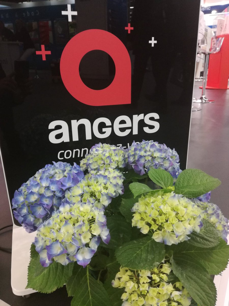 Angers_ALDEV's tweet photo. Merci à nos partenaires #SITL18 @HydrangeaW2 #vegetal pour les plantes et @My_Jomo #badges #numeriques https://t.co/CNKUpurTnq