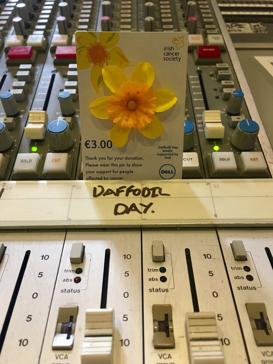 BlackMountainRS's tweet image. Proudly supporting Daffodil Day in the studio today. @IrishCancerSoc #daffodilday
