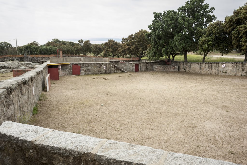 Ganaderia Quintas tweet media