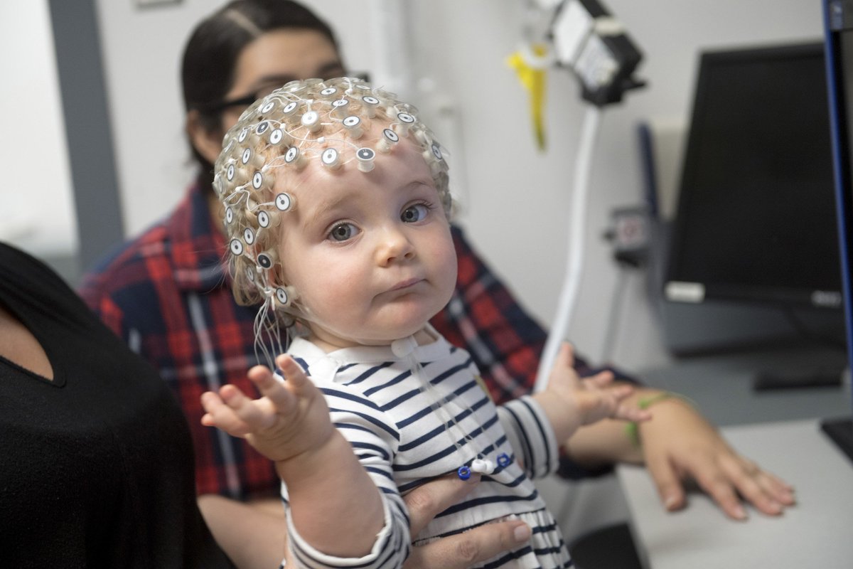 UF_CLAS's tweet photo. Today's Department of the Day for the #500fortheFuture challenge is @UFPsychology! Visit https://t.co/lCYXEhJXA5 to give & read about @lisascottbcd ’s groundbreaking work in infant development 🐊 #FFFDOTD #GoGreater ⭐️ https://t.co/isQNf4K1yg https://t.co/PSOSn8gpvx
