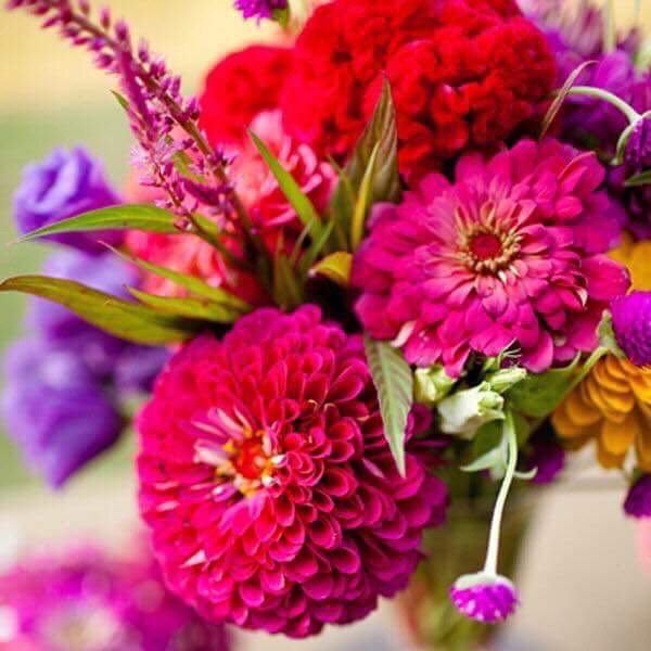 laurieatAT's tweet photo. Friends + Flowers + Beer! Start your weekend with @Alices_Table at @LegalDraftBeer for flower arranging fun!  Enjoy Legal Draft beer while creating your own beautiful arrangement to take home for Easter weekend! Ticket info: https://t.co/67ePzZA8VK https://t.co/BUBcV4K7D1