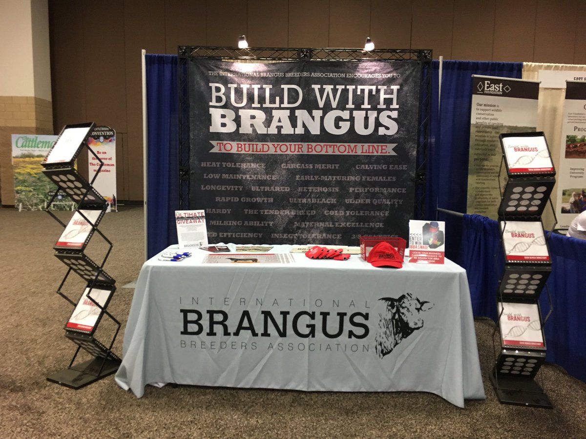 GoBrangus's tweet photo. Come see us @TSCRA’s Cattle Raisers Convention this morning in Booth 204! #GoBrangus #BuildWithBrangus https://t.co/oVwY83vJsq