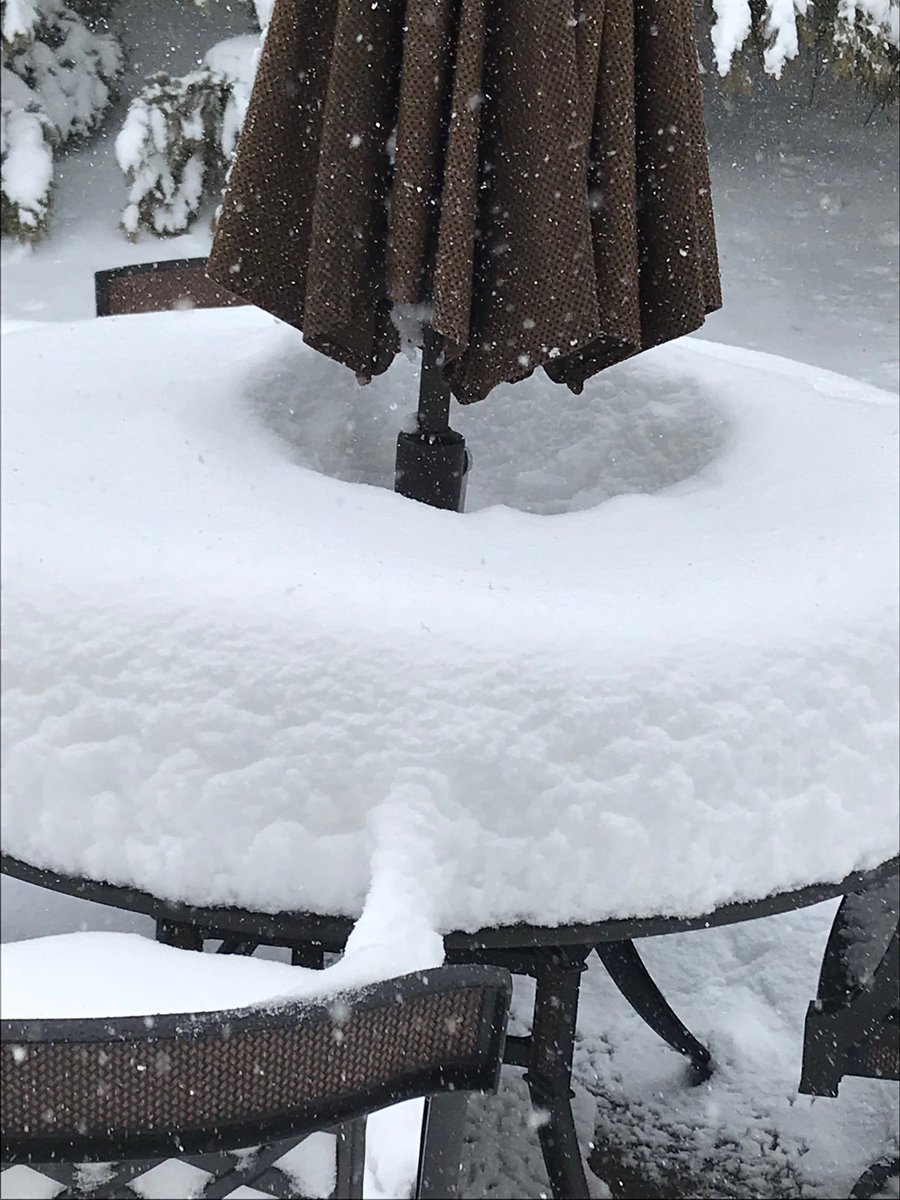 PottsCYMS tweet media