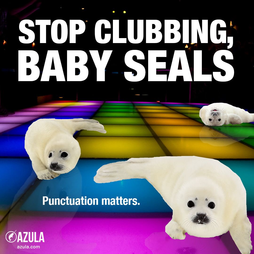 Stop Clubbing Baby Seals Poster