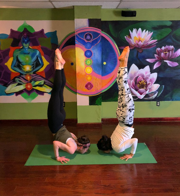 YogaFlow tweet media