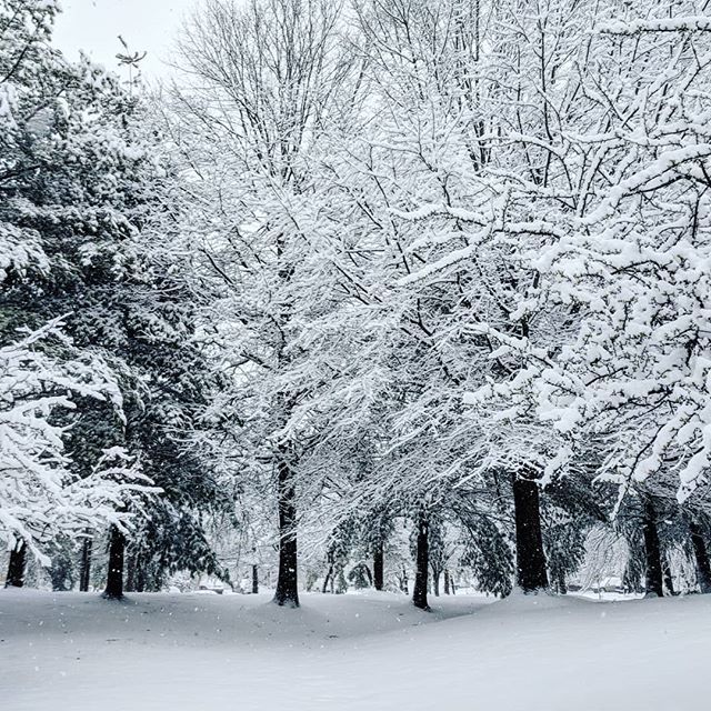 kikiverde's tweet image. ift.tt/2GeBMiA It's a winter wonderland!
#seconddayofspring