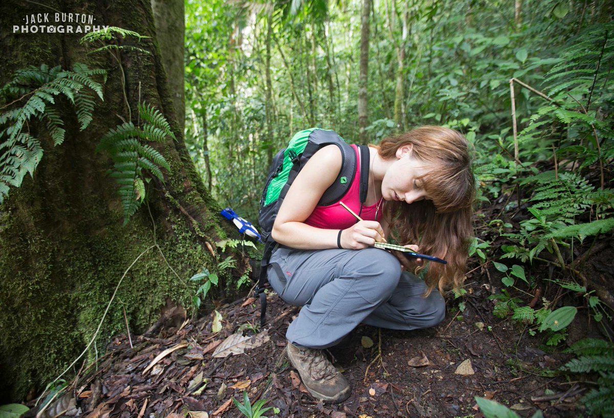 expedbasecamp's tweet photo. Latest Dispatch from Expedition @Cloudbridge2017 - "Epiphytes and the Pure Life" https://t.co/cAO4RiGF2l https://t.co/OFt8SJlRVj