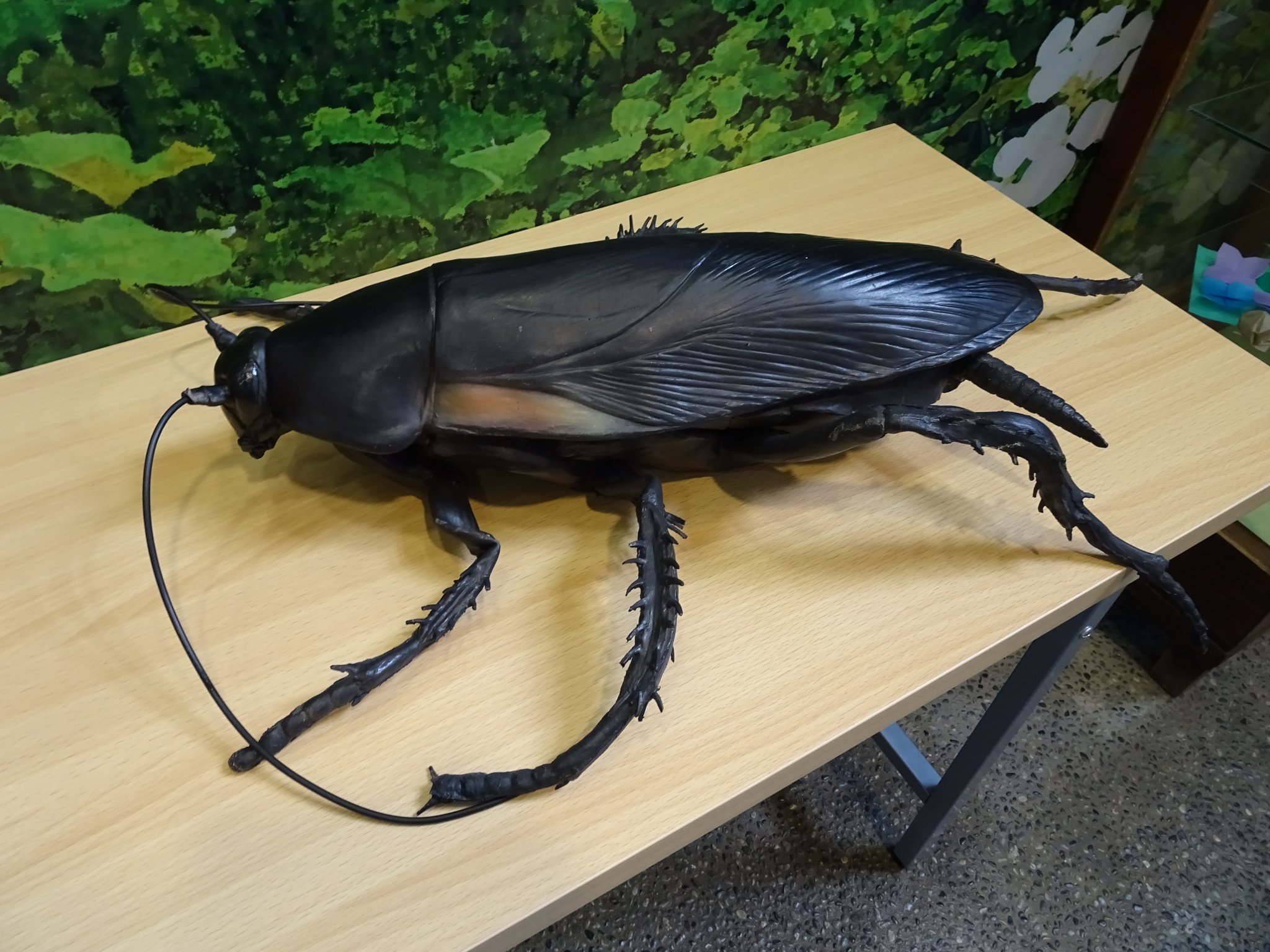 みっち 写真 日本唯一の狛猫さん 竜洋昆虫自然観察公園 の ゴキブリ展 へ 世界中のゴキブリが展示されていて いろんな意味で堪りません 巨大ゴキブリフイギュア と写真が撮れたり ゴキブリと触れ合えたり 中々貴重な みっち 写真 日本唯一の狛猫さん 竜洋昆虫自然観察公園 の ゴキブリ展 へ 世界中のゴキブリが展示されていて いろんな意味で堪りません 巨大ゴキブリフイギュア と写真が撮れたり ゴキブリと触れ合えたり 中々貴重な