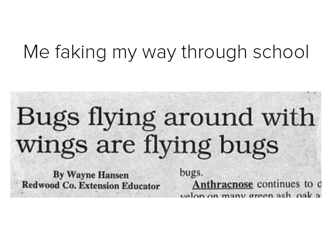 Me faking my way through school https://t.co/s6E4IzuThz<a href="/tag/advicefrommoviecharacters"class="tags"><span>#advicefrommoviecharacters</span></a>