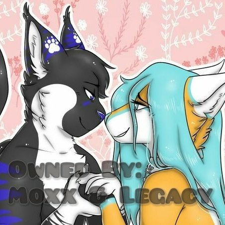 Ponce_Moxx's tweet photo. Art made by Cinder!
https://t.co/ig2tsBAFGg
Moxx &amp; Lacy 💘

#Catdragon
#furryart
#NewProfilePic https://t.co/cm2srEKScq