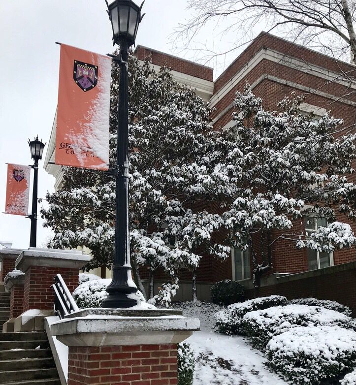 GC Tigers tweet media