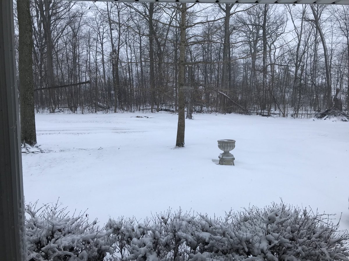 TonyIsch's tweet image. #seconddayofspring ?