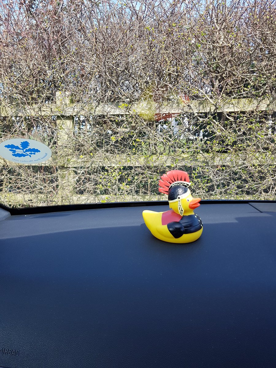 VanessaStAlbans's tweet photo. #VerDuck going with me on a journey today @stalbansmuseums doing a bit of sunbathing at the moment. He can see this bright thing in the sky.....π https://t.co/XNzDc0rRDw