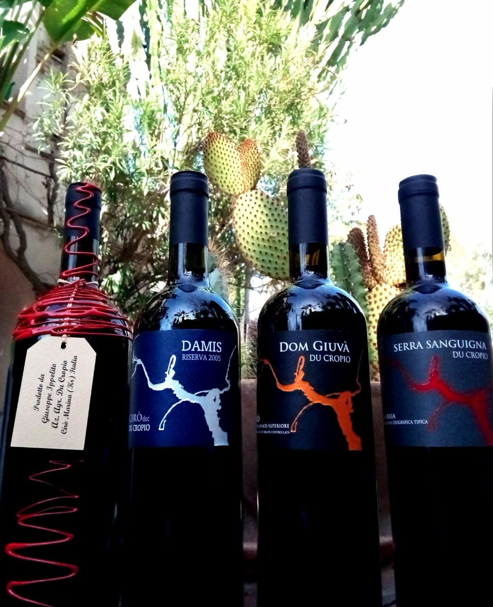 Ducropio's tweet photo. colors and flavors of an ancient and authentic land.... of a passion that is renewed in tradition....
DU CROPIO VINERY
#DuCropioVinery #Calabria #italianwine #Gaglioppo #WineWednesday #winelover #winetasting #Wines https://t.co/QxFE5WsxRo