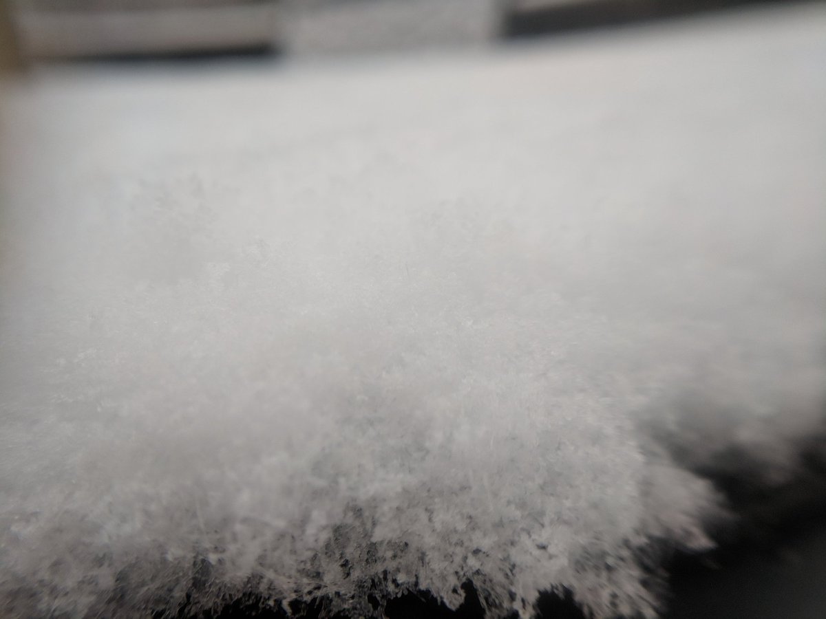 Downtown_Lou's tweet image. Show us your snow! Snap a shot of what you got then tag us &amp;amp; @NWSLouisville so we can share! #snowday #recordsnowfall #louisvilleweather #Louisville