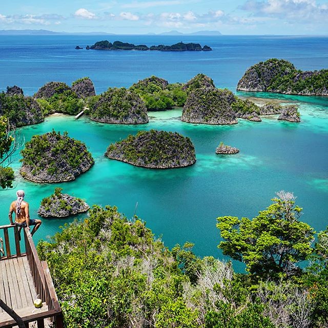 MalaysiaAsia's tweet photo. Admiring the magnificent view of Piaynemo in Raja Ampat, West Papua. Piaynemo is one of the most photoworthy places in Raja Ampat, and is probably the most photographed place in West Papua. . . . . . #rajaampat #wonderfulindonesia #travel #westpapua #indo… https://t.co/vbpWJceIIU