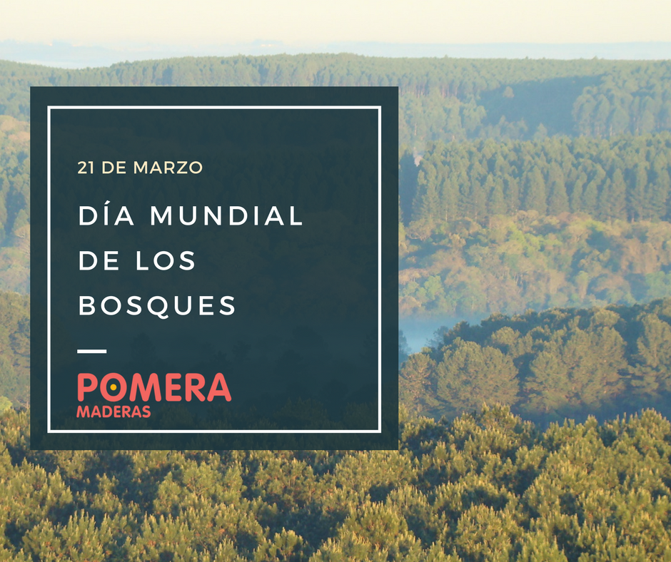 pomeramaderas's tweet photo. #DíaDeLosBosques | Conocé cómo colaboramos para concientizar el cuidado y la importancia de los bosques. https://t.co/XJGOycHUf6