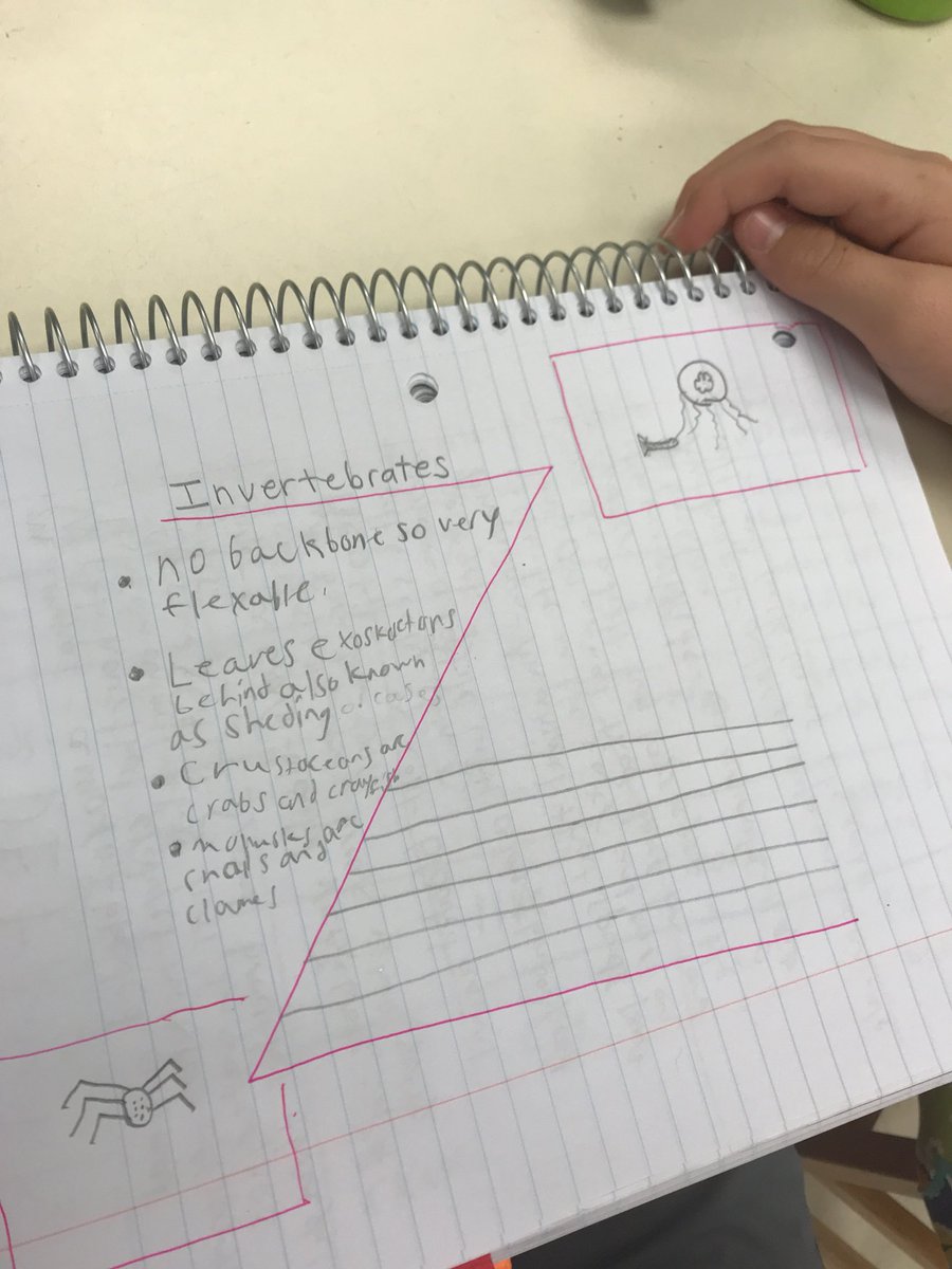 ABScienceSongs's tweet photo. Using the #SpotlightOnStrategies #Zchart to summarize nonfiction text. We added a twist and put sketches on the corners. @SeaGateES @collierschools @DiscoveryEd This graphic organizer strategy is perfect for passages or @DiscoveryEd video segments. https://t.co/gSx8bbCYjT