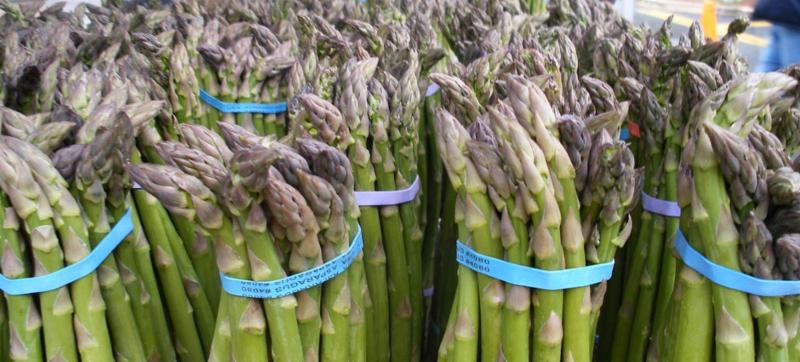 RMSI's tweet image. Wellness Weekly: #SpringVeggies @ #FreshestCargo today, #Zumba Thursdays &amp;amp; #FreeRecipes conta.cc/2u4Qi7V