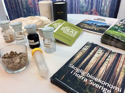 AnnaBioen's tweet photo. Ett partnerskap har startats: Skoglig bioekonomi i norra Sverige. Idag visar vi upp i utställning vid Bioekonomiriksdagen i Karlstad. Kom förbi och säg hej! Vi är Biofuel Region, North Sweden Cleantech, RISE Processum, Bothnia Bioindustries Cluster och @Bio4Energy. https://t.co/ic8ewcMKDv