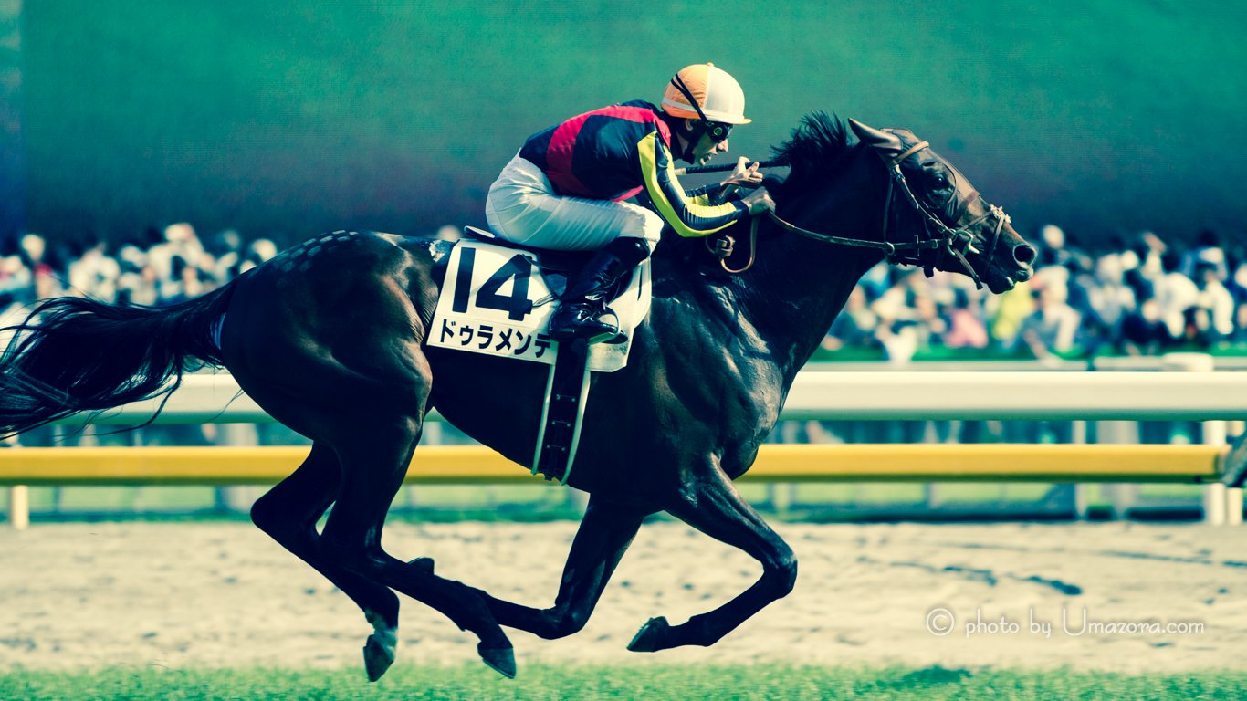 うまぞら 競馬壁紙 Pc スマホ対応 作成しました ブログに公開中です T Co 5ycfbaenea 写真 Photo 日本 Japan ハシュレコ Hashreco カメラマンさんと繋がりたい 撮影 Camera 写真好きな人と繋がりたい ファインダー越しの私の世界