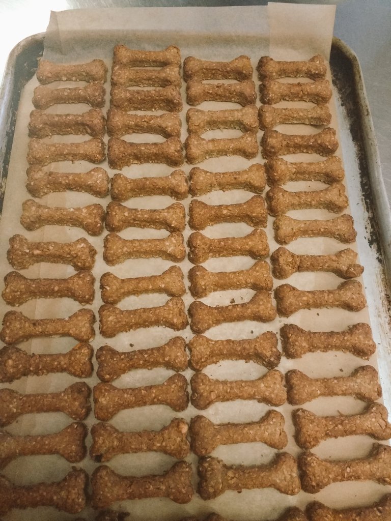 CholmArms's tweet photo. First batch of #Cholmondeley Arms #HomemadeDogBiscuits ready to give to our #fourlegged friends when they come to stay 🐾
#woofwoofwednesday #pubwithrooms #woof #dogsoftwitter #doglovers #dogfriends #dogtreats #homemade #dogfriendly #dogs #dog #welovedogs 🐾 https://t.co/w1XWjhgspX