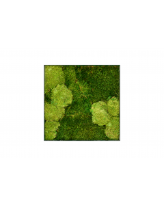 Mosschilderij's tweet photo. Mosschilderij als kunst aan de muur met een akoestische demping. Door de open structuur van het mos neemt het geluid op en is het mooi decoratief schilderij voor in de woonkamer, op kantoor of voor in een horecagelegenheid. https://t.co/6hRub73P8Z https://t.co/OreXUfa0sd