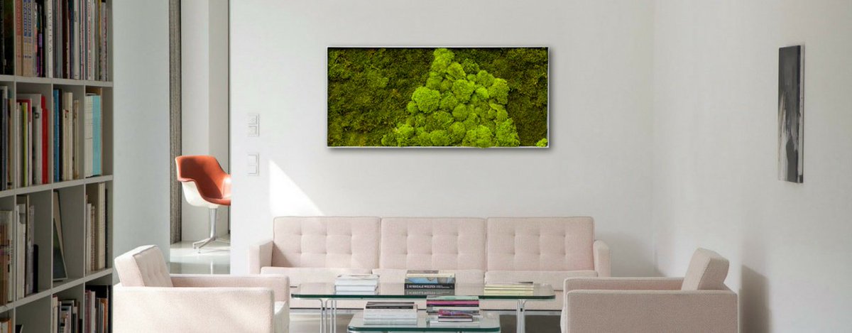 Mosschilderij's tweet photo. Mosschilderij als kunst aan de muur met een akoestische demping. Door de open structuur van het mos neemt het geluid op en is het mooi decoratief schilderij voor in de woonkamer, op kantoor of voor in een horecagelegenheid. https://t.co/6hRub73P8Z https://t.co/OreXUfa0sd