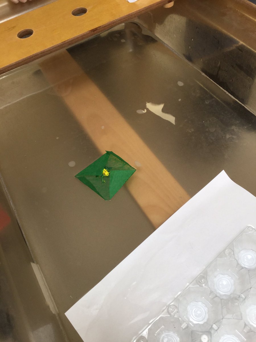 <a href="/ScienceWindmill/">Windmill Science</a> making lily pads to see if they float