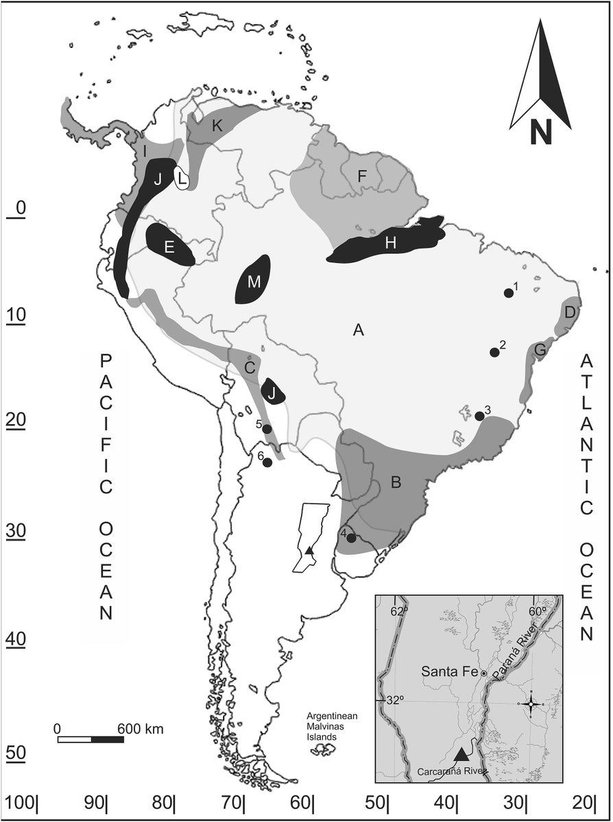 dcpaleo's tweet photo. Recent paper describing a #Pleistocene porcupine from Santa Fe, Argentina: several hundred km outside of their current distribution. Includes pretty plate of Pleistocene prehensile-tailed porcupine teeth (C. magnus) from Lagoa Santa, Brazil! #caviomorph https://t.co/5icf6R32pX https://t.co/bi6hIJvkBZ